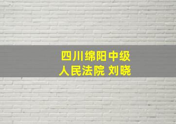 四川绵阳中级人民法院 刘晓